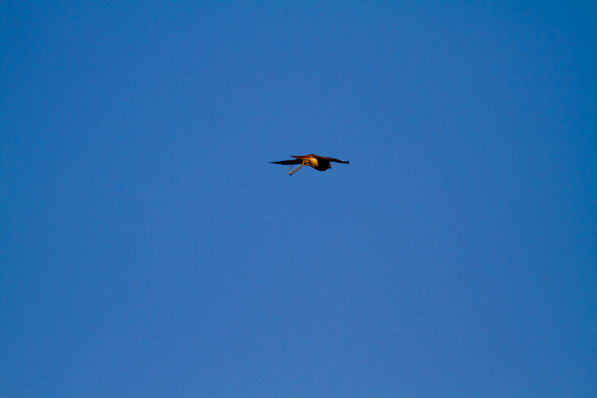 20110416-065652-2