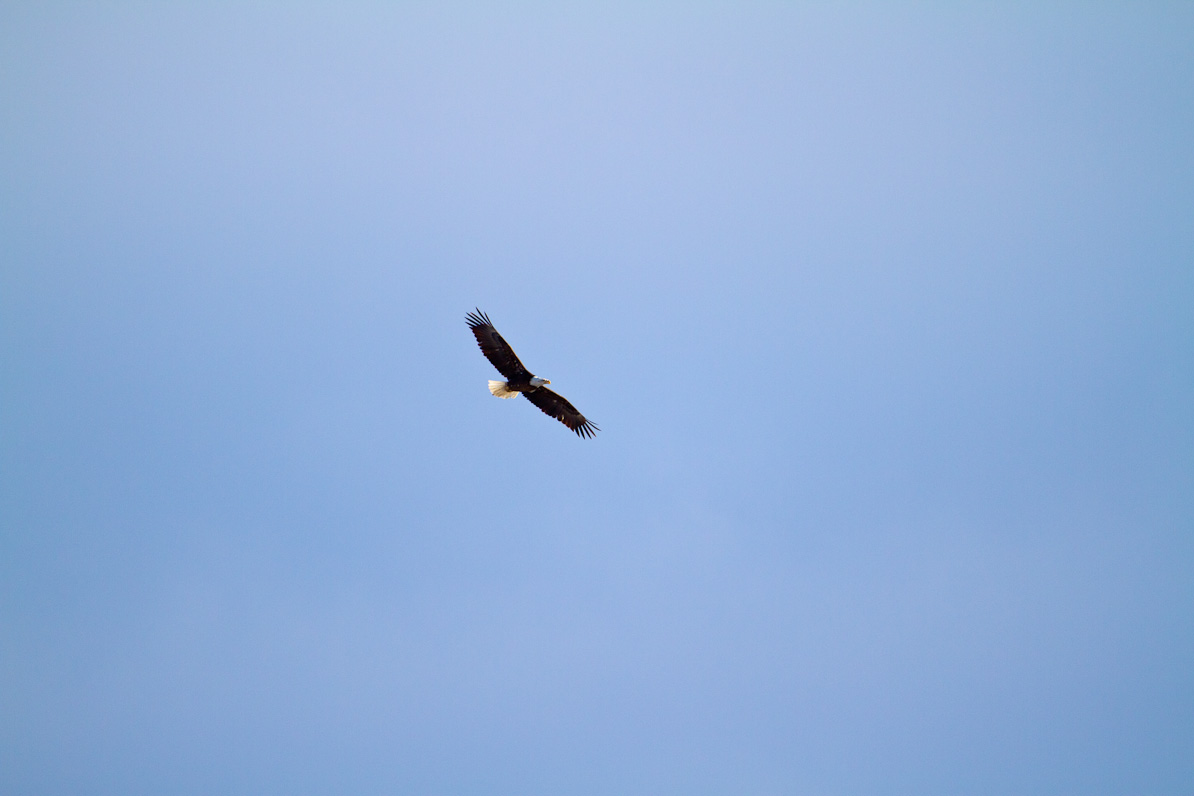 20110410-075037-2