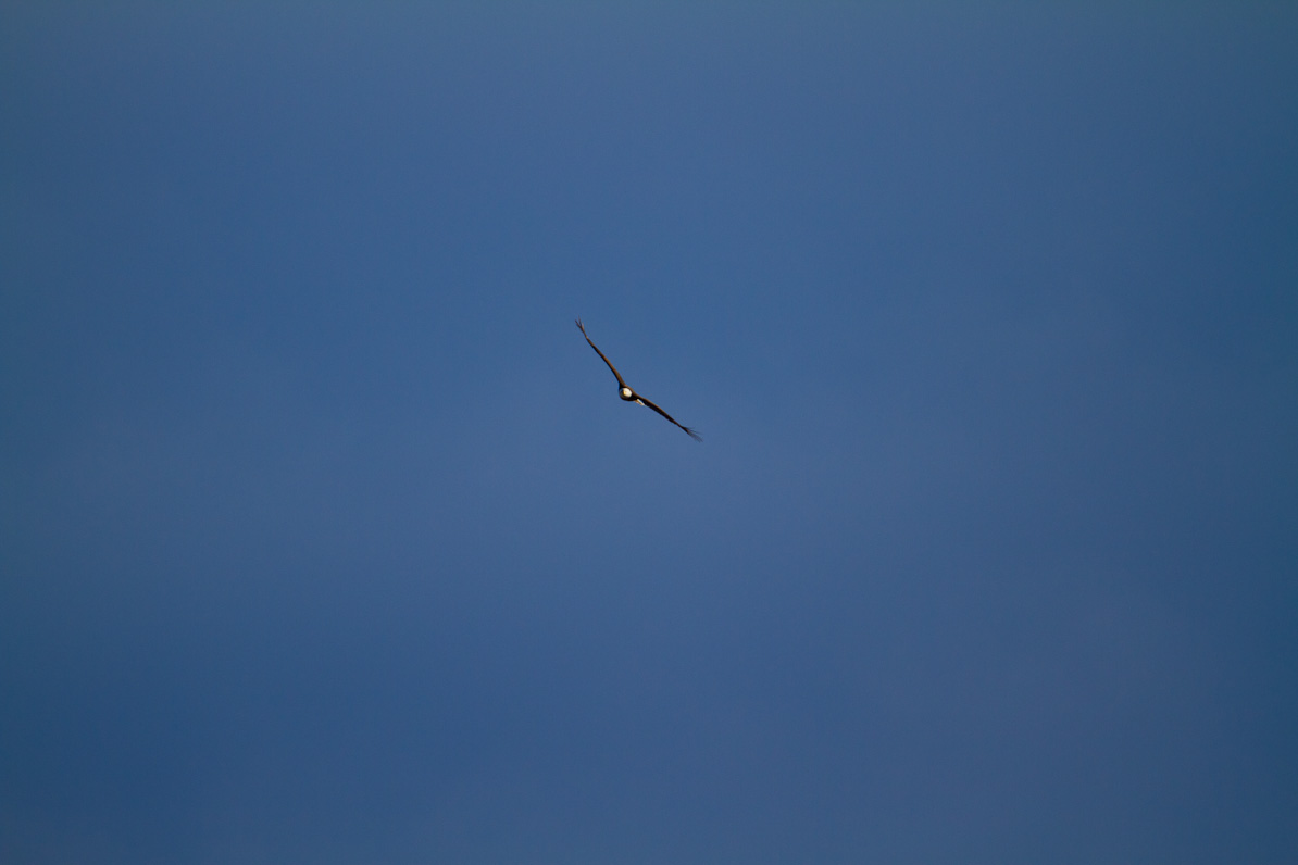 20110410-075107-2