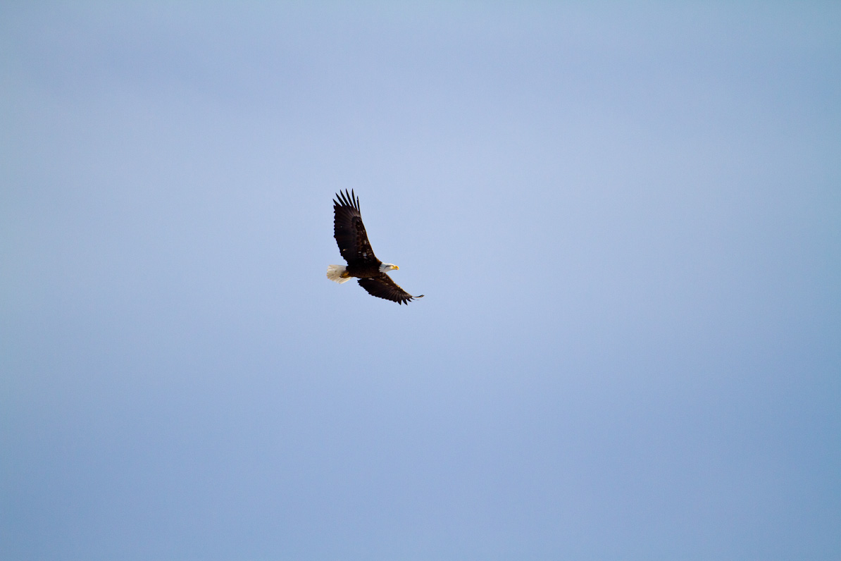 20110410-075234-2