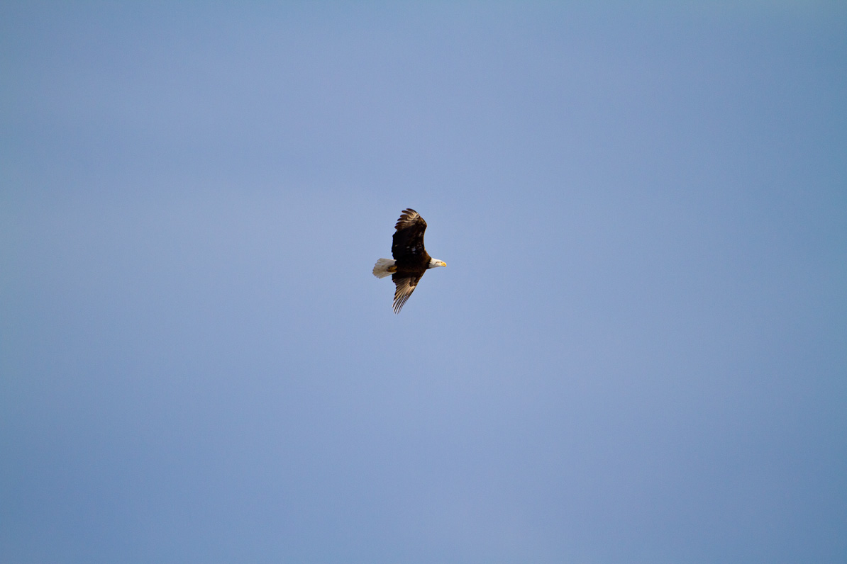 20110410-075234-3