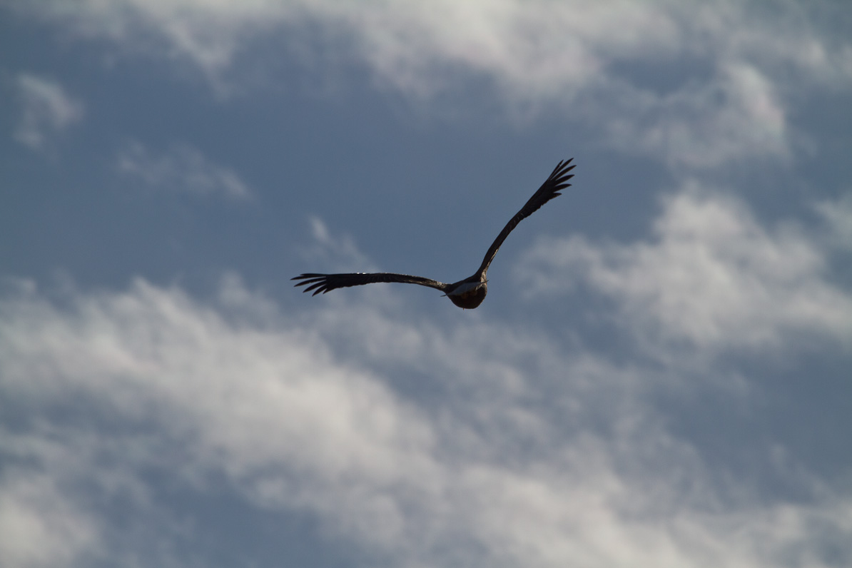 20110410-080859
