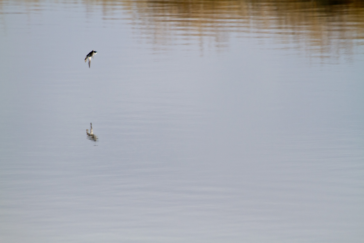 20110410-082901-2