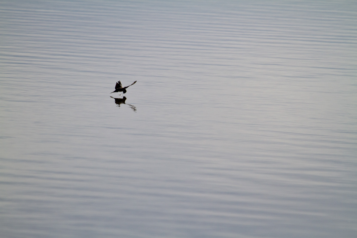 20110410-084034-2