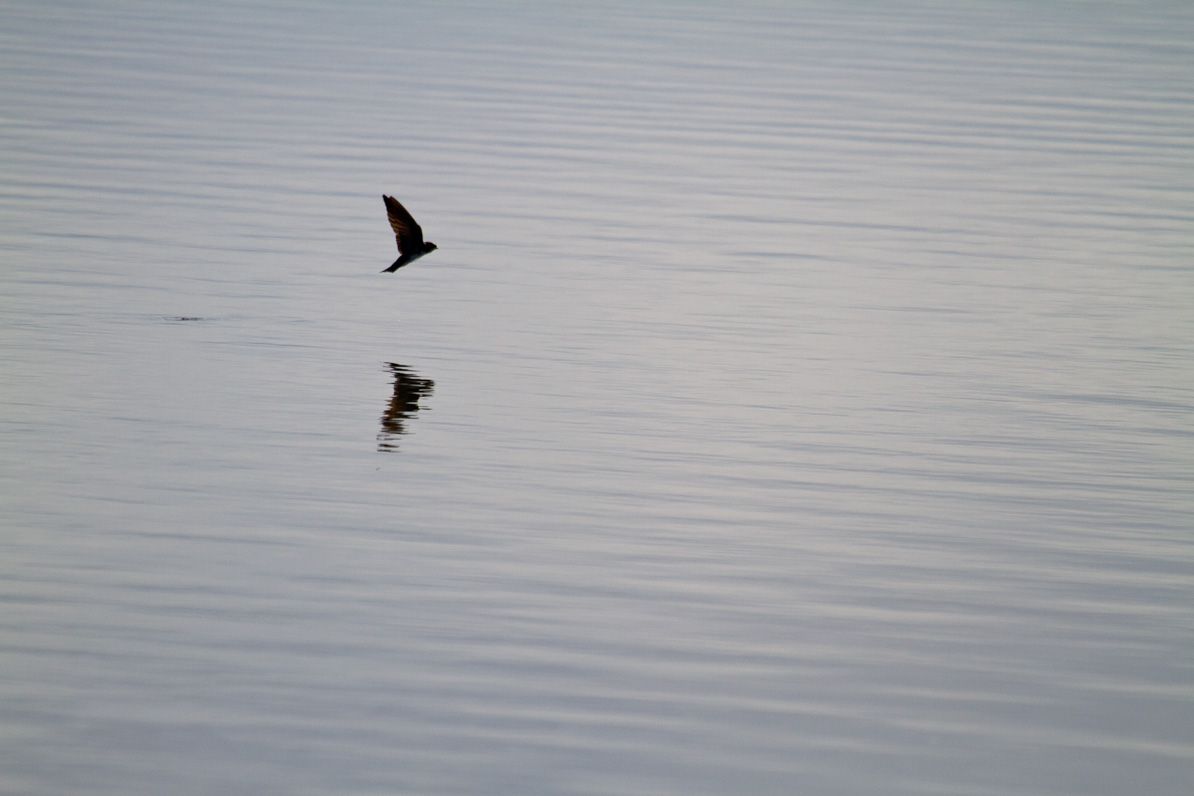 20110410-084034-3