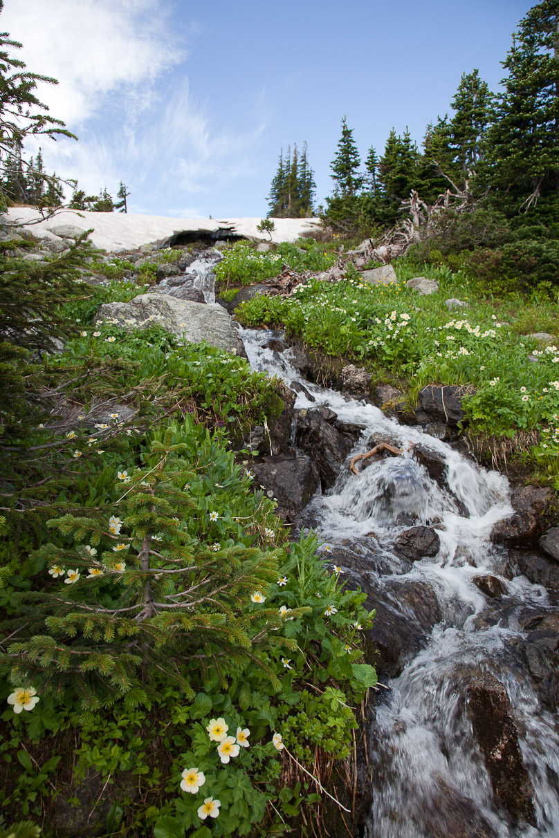 20090712-085935