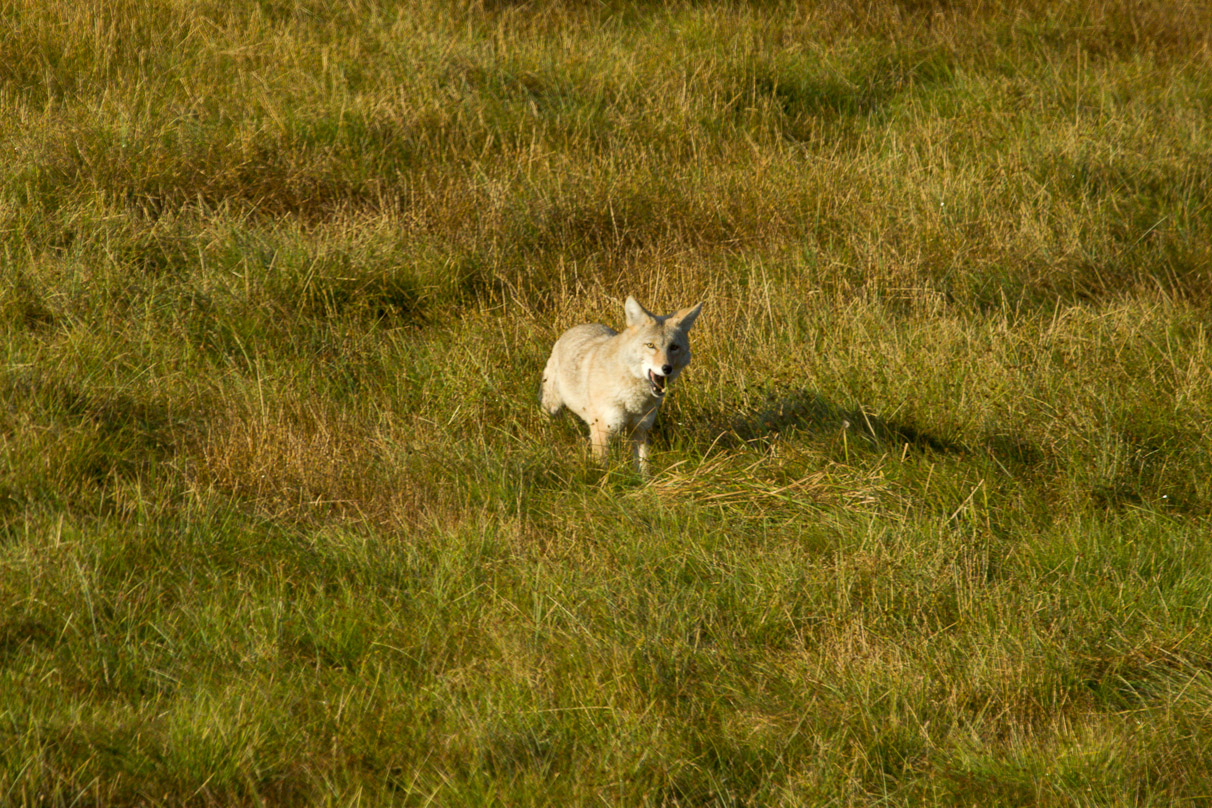 20090905-081510